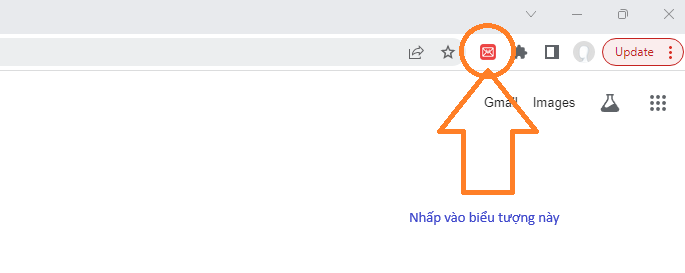 Extension icon in Chrome